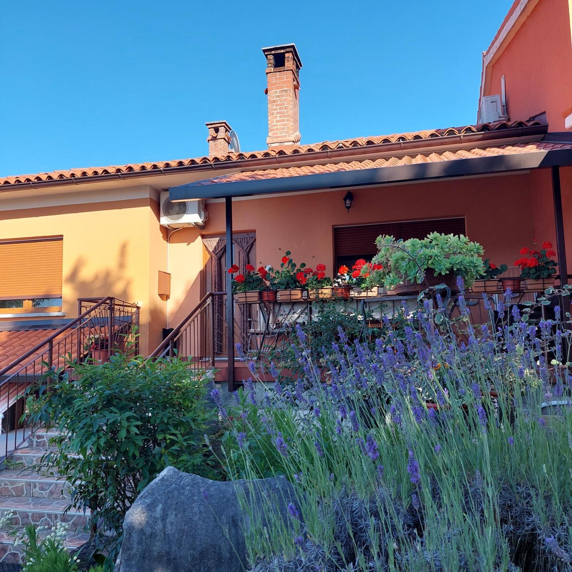 Apartman Branka Labin  Exterior photo